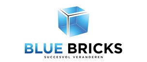 Blue Bricks